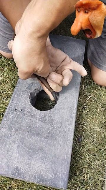 Otwornica do betonu wycinanie brzeszczotem w palisadzie #brukarzyoutube #shorts #brukarz смотреть онлайн