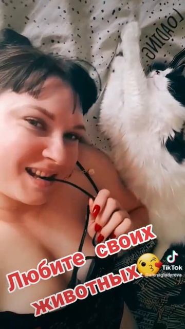 животные все понимают.