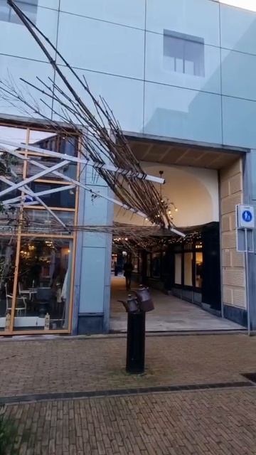 Дворик в Гааге