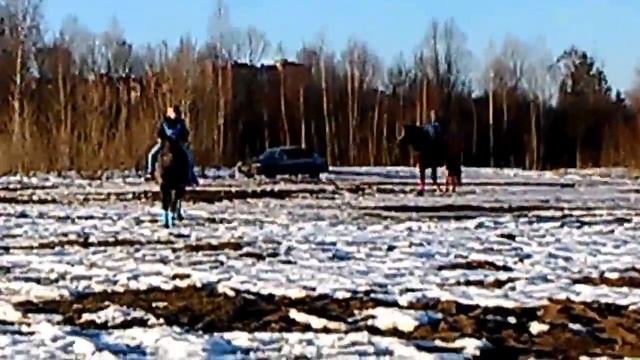 Прогулка 14.03.15 смотреть онлайн