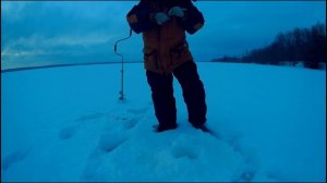 Ловля окуня на Ратлин , VIB   Зимние ратлины косят окуня , Itumo Gamauji 55