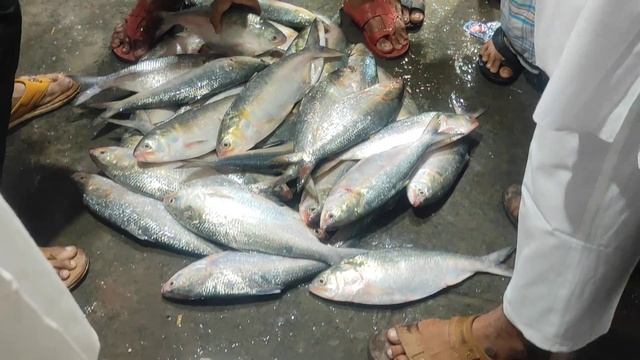 ইলিশ ilish смотреть онлайн