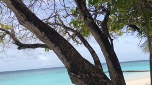 МАЛЬДИВЫ ADAARAN SELECT MEEDUPPARU. ОБЗОР УЖИНА В СРЕДИЗЕМНОМОРСКОМ РЕСТОРАНЕ .