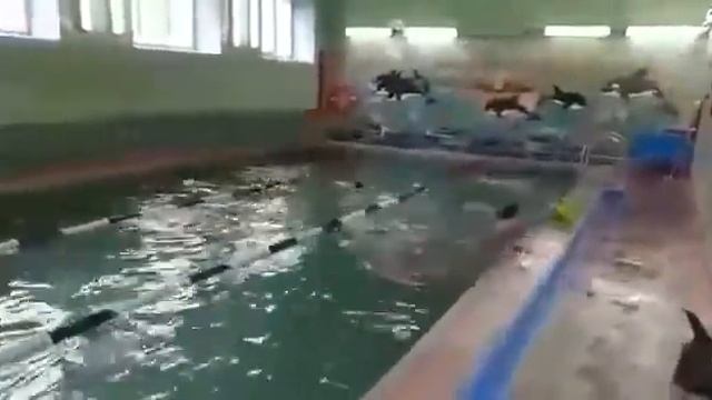 Юные ВОСВОДовцы НКЛ 2020 смотреть онлайн