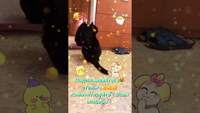 🐈⬛🐈24.02.23 Год прожитый не зря 😊Харьков🕊Мира и спокойствия🕊 смотреть онлайн