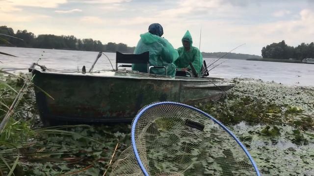 КИЇВСЬКЕ МОРЕ ЛИПЕНЬ 2020 смотреть онлайн