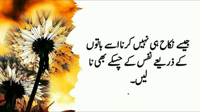 Jo Mard Aurat Ki Sharam°° Gha Ko Kiss Kran To | Women Quotes in Urdu смотреть онлайн