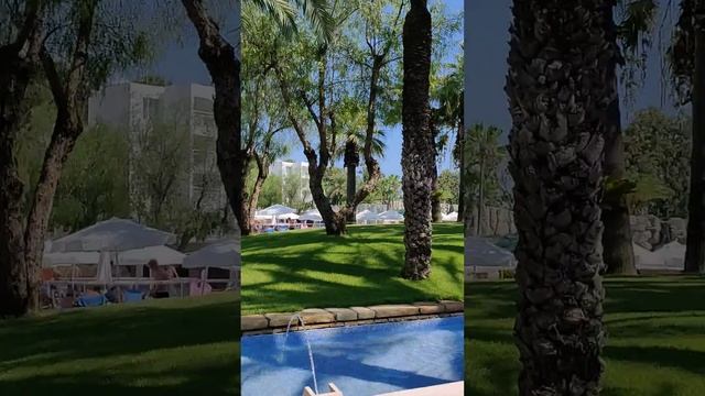 Otium seven seas смотреть онлайн