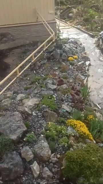 Полив Альпийской горки смотреть онлайн