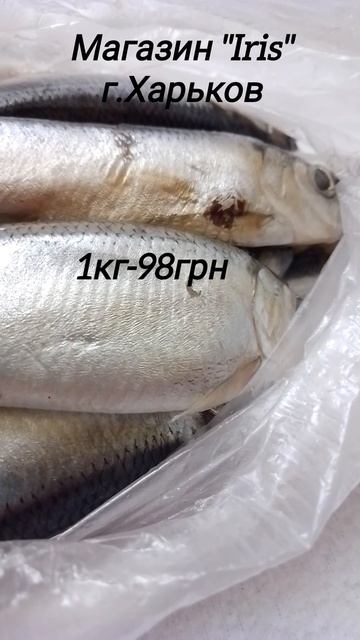 Цена на соленую салаку #салака #ценывукраине #рыба #ценынапродукты #вкусно #