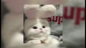 kostromin- моя голова винтом speed up