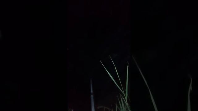 Ձկնորսություն Զարթոնքի լճում смотреть онлайн