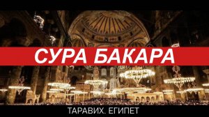 СУРА ФАТИХА И СУРА БАКАРА (ТАРАВИХ В ЕГИПТЕ )