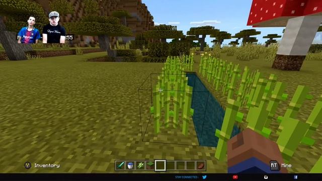 How To Grow SUGAR CANE In Minecraft [Minecraft Sugar Cane Farm] смотреть онлайн