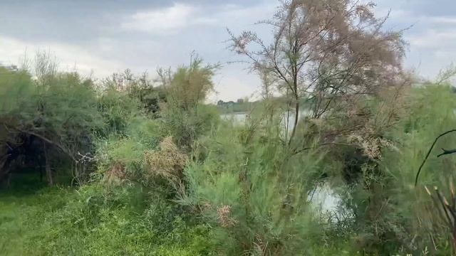 sirdaryo baliq ovi смотреть онлайн