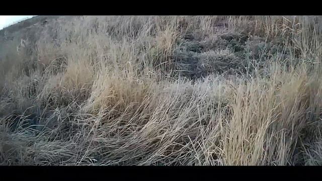 Охота на фазана смотреть онлайн