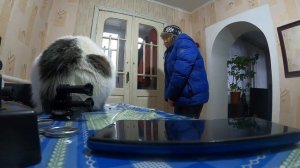 ЖИВУ ОДНА В ДЕРЕВНЕ / ЕДУ С СОСЕДКОЙ НА РЫНОК / ЖИЗНЬ В ДЕРЕВНЕ/ ВЛОГ