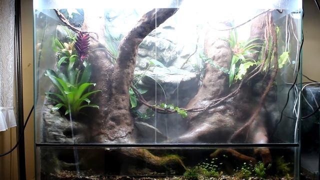 terrarium tropikalne смотреть онлайн