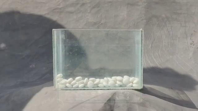 MENTOS, COCA-COLA,SPRITE, WASTED Experiment|DuDu broTher English смотреть онлайн