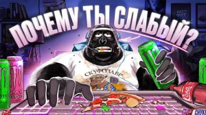 Как не стать СКУФОМ — АМОБЛОГ