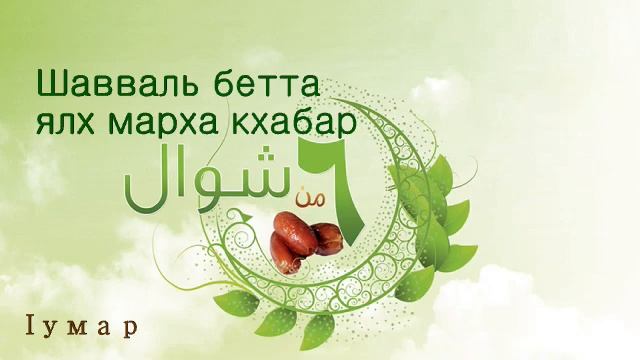 Шавваль беттан ялх марх кхабар | Iумар смотреть онлайн