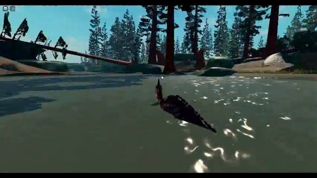 A Magnapaulia Swims For Food