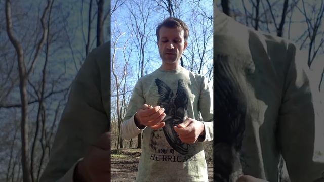 Равноденствие в Голосеево и Варганы Скиф и Монгол. Бубен Фест смотреть онлайн