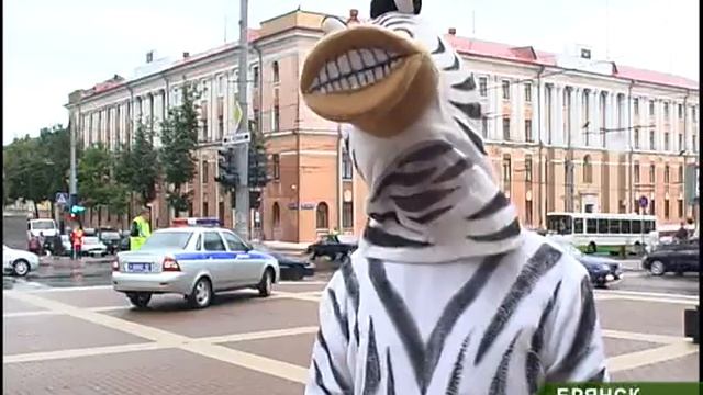 зебра 3_09_10 смотреть онлайн