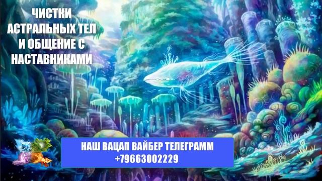270. ЧИСТКА АСТРАЛЬНЫХ ТЕЛ И ОБЩЕНИЕ  Новые видео на сайте Https://lightportal.ru/video