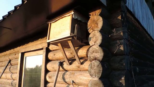 Очередной рой . Bee Swarm. смотреть онлайн