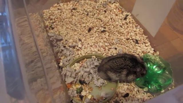 MVI 8660 смотреть онлайн