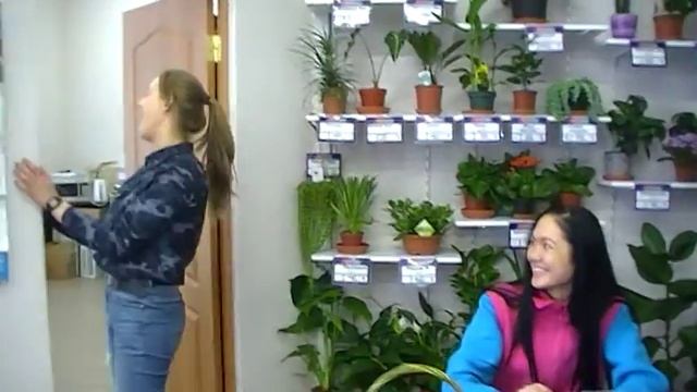 цветочные феечки - Настюша, Анечка, Анжелика ))