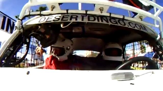Baja 1000 2009 - Desert Dingo Racing - Class 11 Stock Bug No. 1104