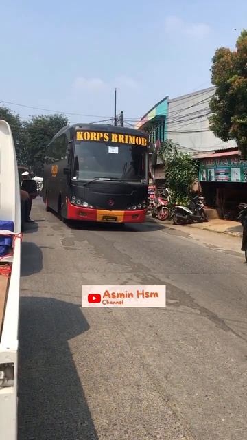 KEREN PASUKAN BRIMOB PUNYA MOBIL ANACONDA MERCEDES-BENZ😍#shorts #mercedesbenz #anaconda #tarantula смотреть онлайн