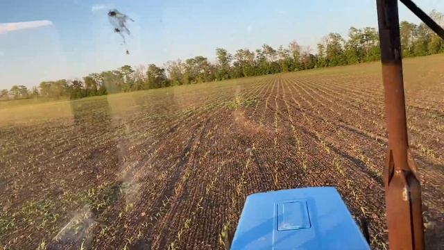 Хим прополка кукурузы | МТЗ-82 с опрыскивателем ЮВЕС ОПМ-2505