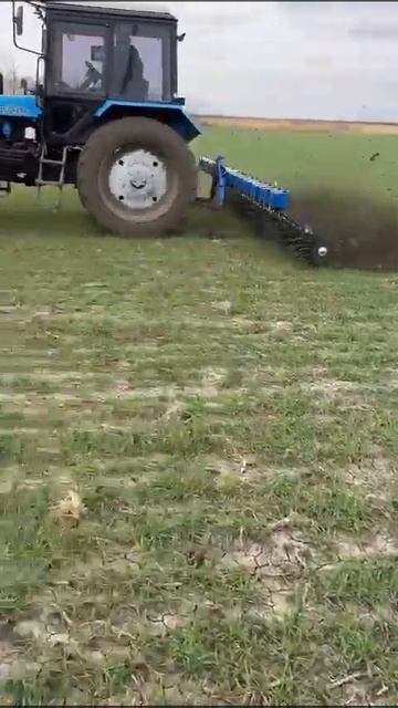 Борона мотыга ротационная БМР-5,6 смотреть онлайн