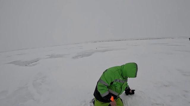 Ловим Судака, закидушки стреляют одна за другой, готовим шашлык! Много подъёмов, приходится бегать! смотреть онлайн