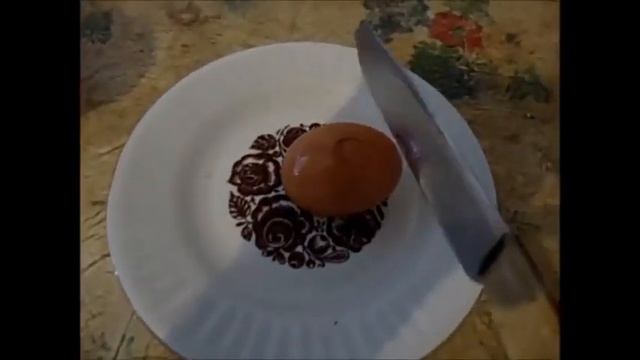 ВСКРЫТИЕ ГОМУНКУЛА(10 ДНЕЙ) смотреть онлайн