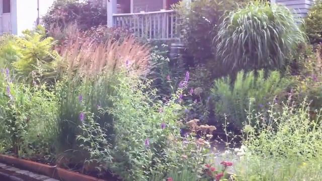 Garden In The Wind