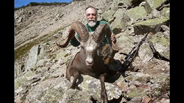 snow sheep hunt смотреть онлайн