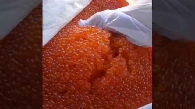 Икра Красная в Томске!Северске! ИКРА🔥ЧАВЫЧИ🔥! КАМЧАТКА👌!НЕРКА, КИЖУЧ, КЕТА,🐟 СЕМГА! Ikra70.ru