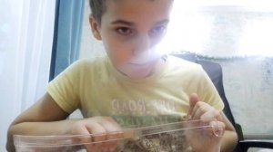 Обзор на слайсер для нарезки фруктов и овощей