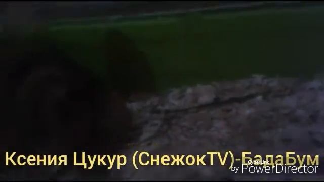 #MAGICVLOG Каверы от морской свинки смотреть онлайн
