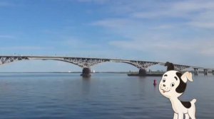 Котенок Гав