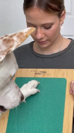 Link in the comments to check out ZenlyPaws🤍 #dogscratchboard #dognailfileboard #dognailtrim