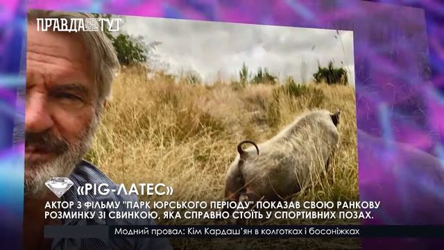 "PIG-ЛАТЕС" смотреть онлайн