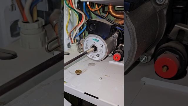 РЕШАЕМ...Протерм F20 / Протерм ошибка f20 / protherm f20 #сантехник #котлы #ремонт смотреть онлайн