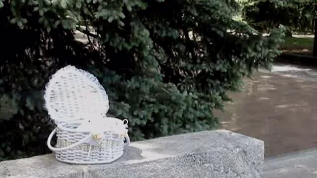 ГОЛУБИ НА СВАДЬБУ ХАРЬКОВ 0985792007 смотреть онлайн