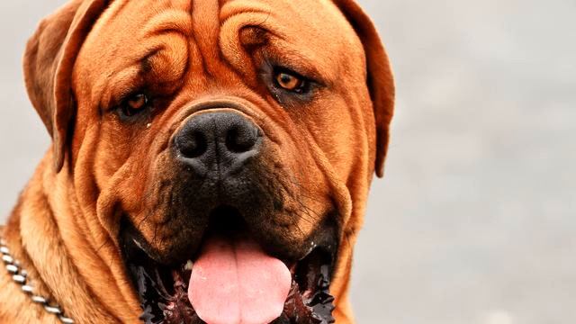 Слушать хорошую русскую музыку и видео онлайн смотреть онлайн