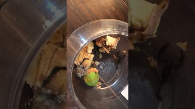 Находка Скорпиона на балконе смотреть онлайн